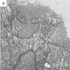 光纤连接器研磨抛光工艺以及缺陷原因分析